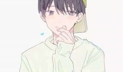 最火动漫,巅峰之战，忍者世界的传奇传奇